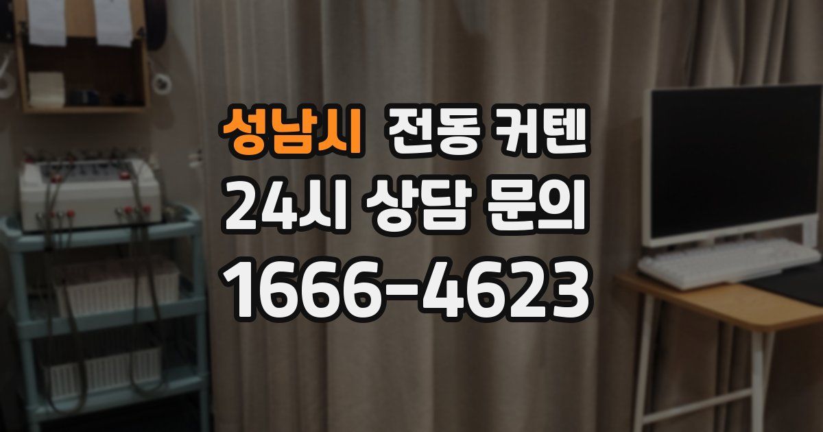 성남시 전동 커텐