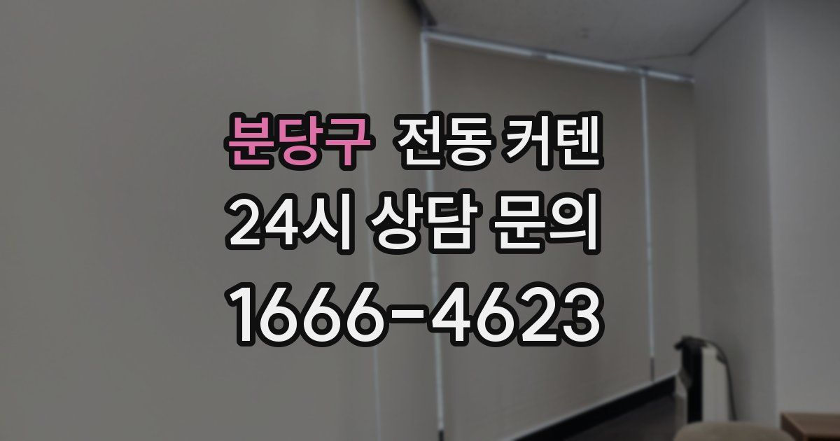 분당구 전동 커텐