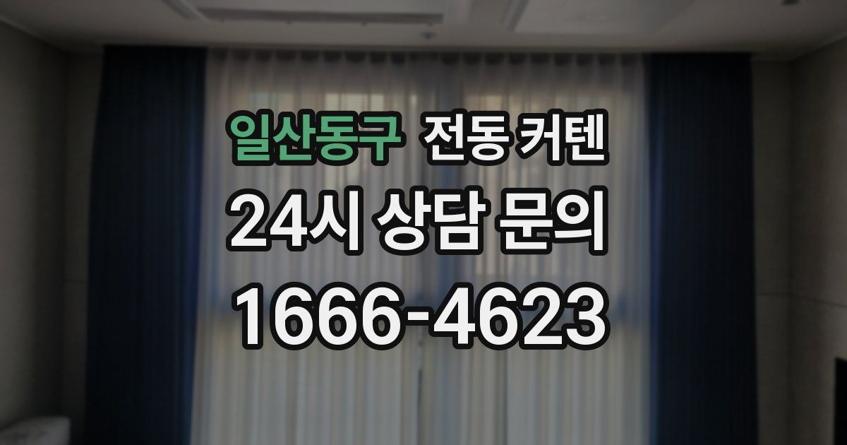 일산동구 전동 커텐