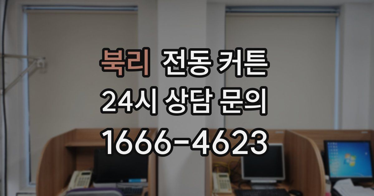 북리 전동 커튼