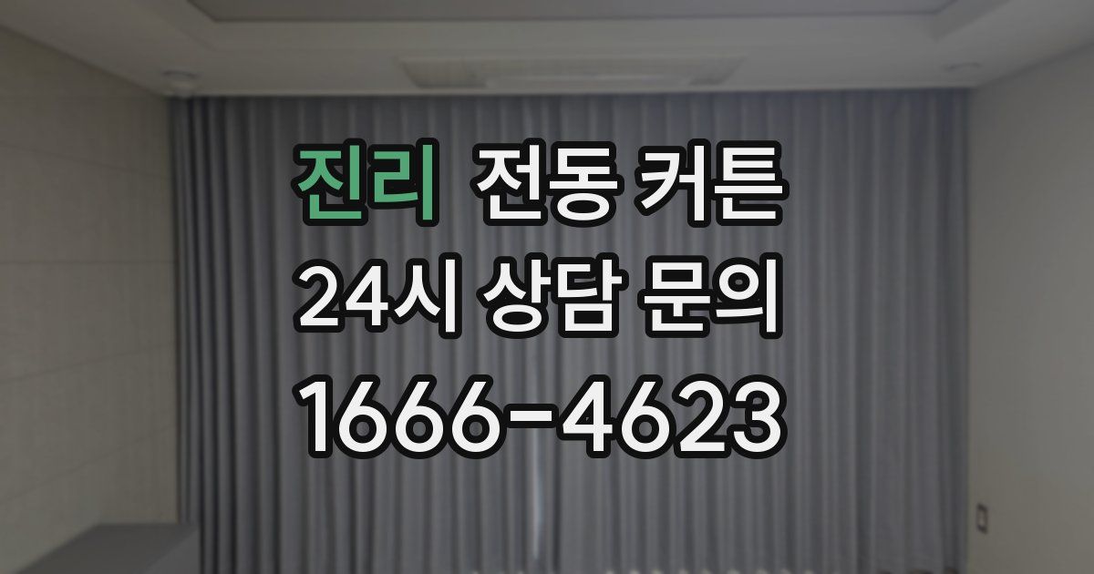 진리 전동 커튼