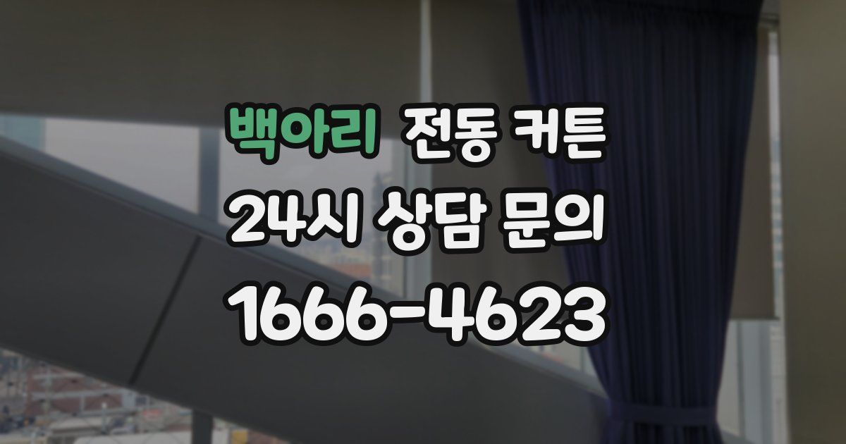 백아리 전동 커튼