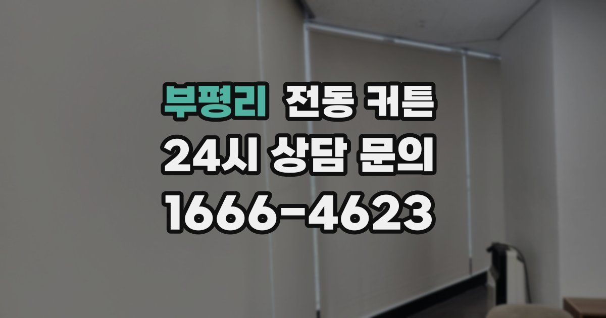 부평리 전동 커튼