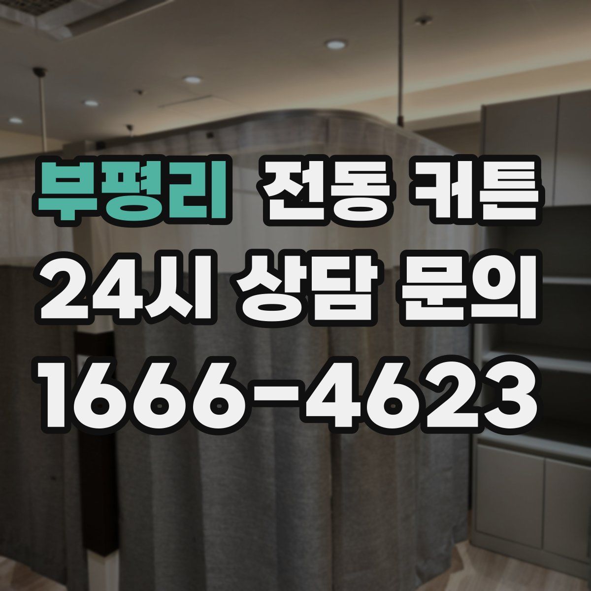 부평리 전동 커튼