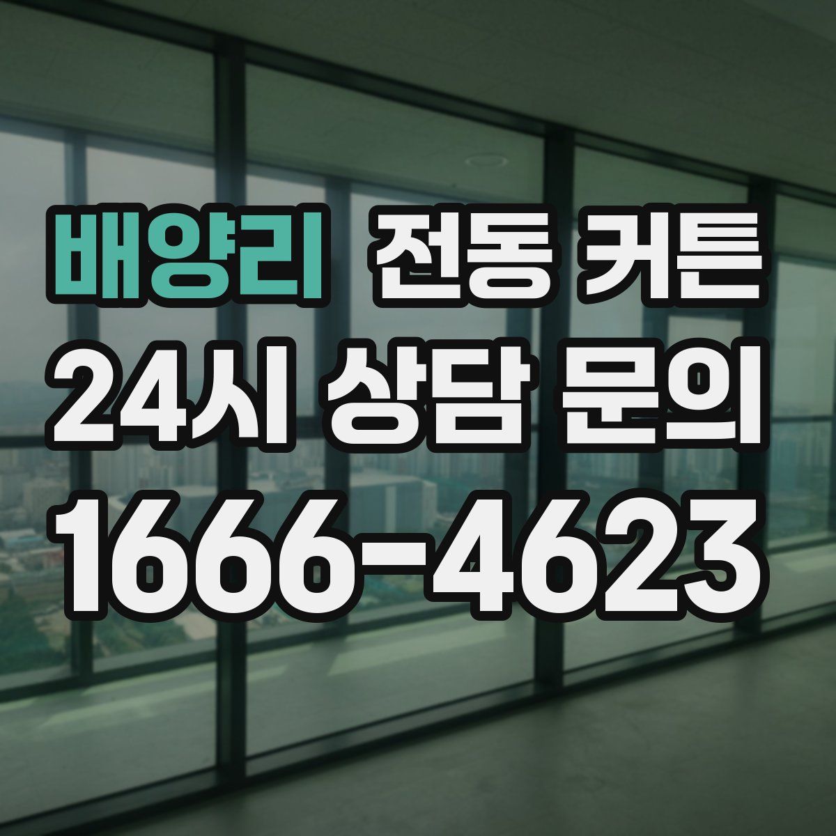 배양리 전동 커튼