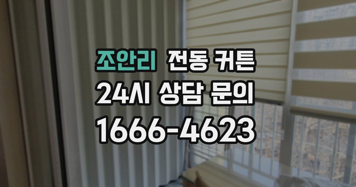 조안리 전동 커튼