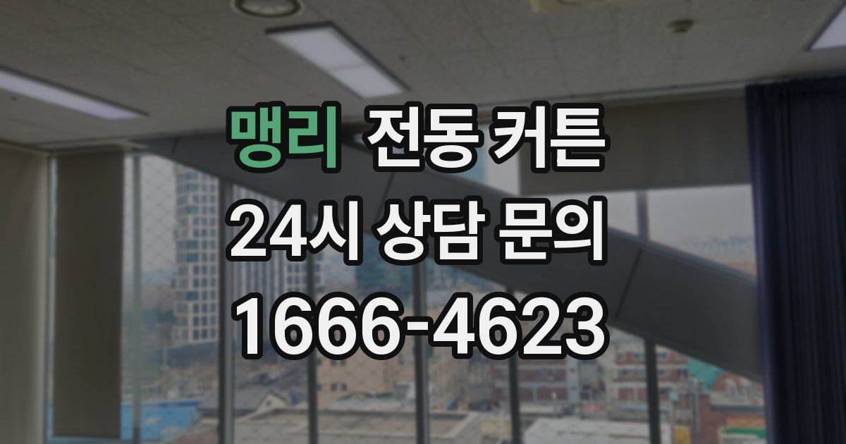 맹리 전동 커튼