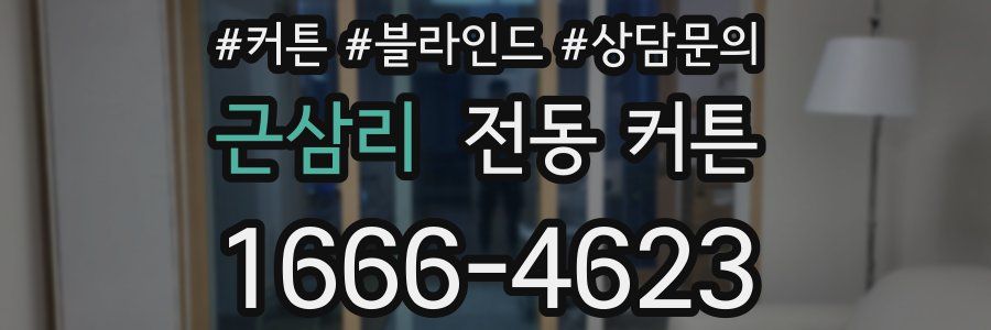 근삼리 전동 커튼