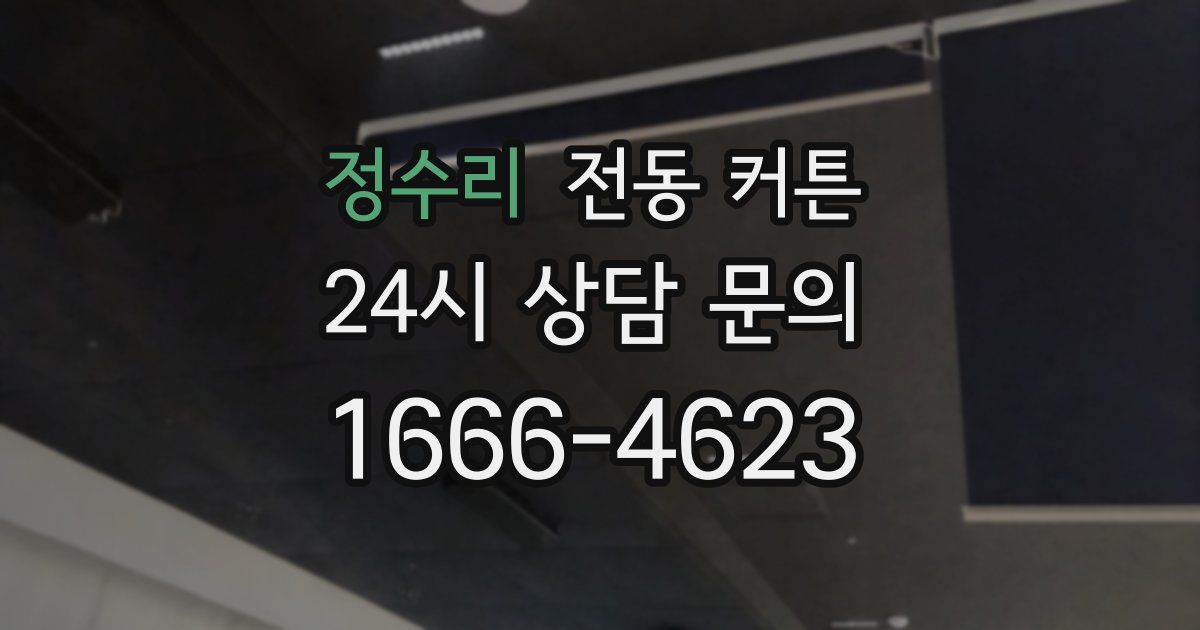 정수리 전동 커튼