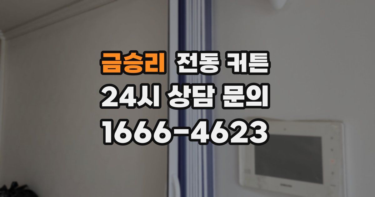 금승리 전동 커튼