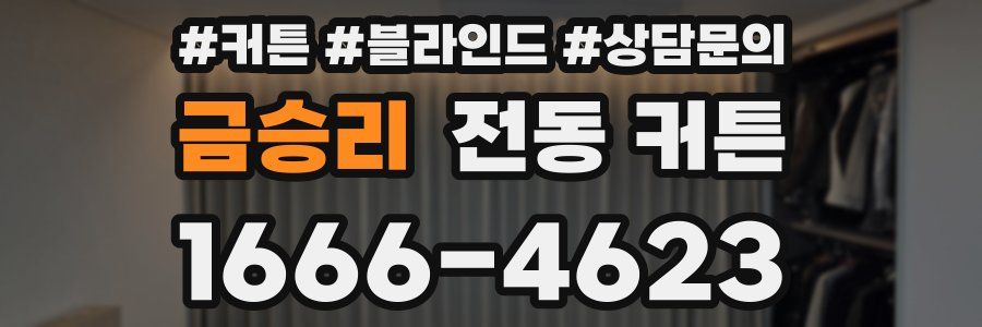 금승리 전동 커튼