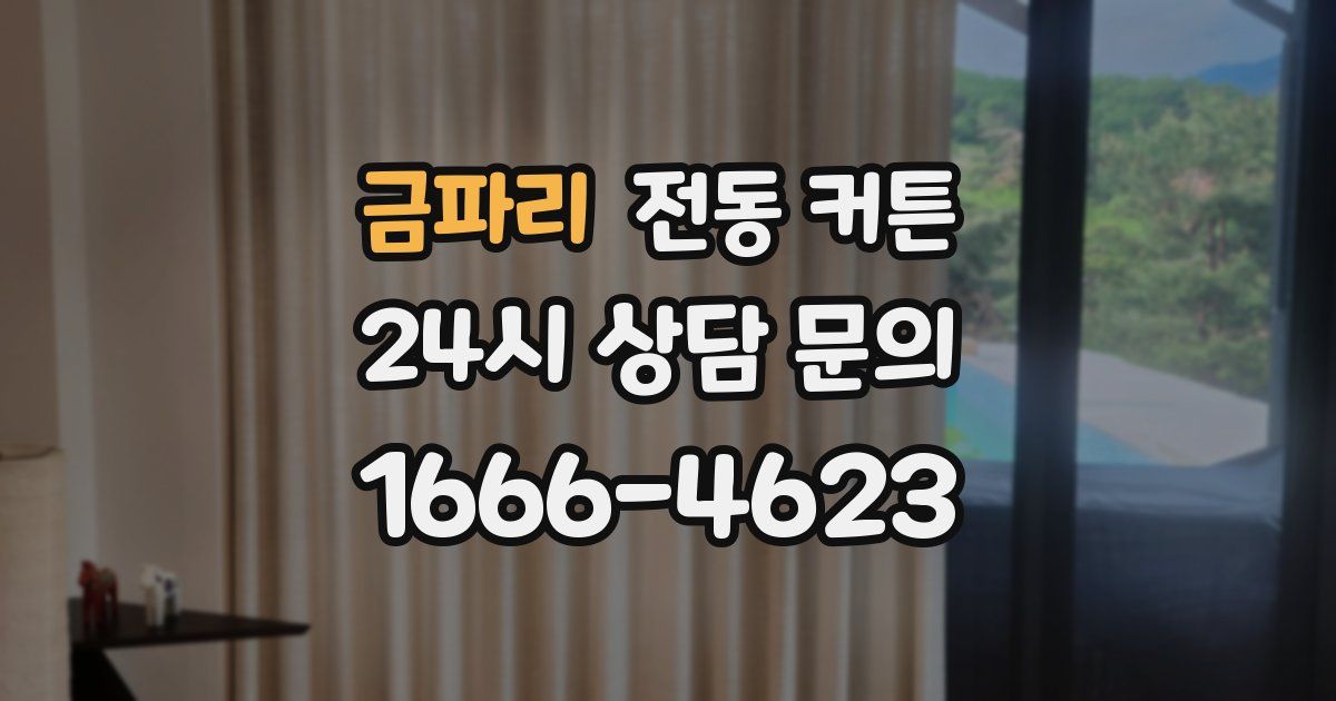 금파리 전동 커튼