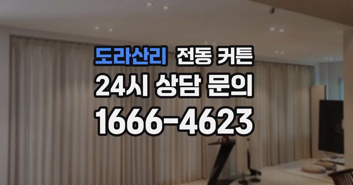 도라산리 전동 커튼