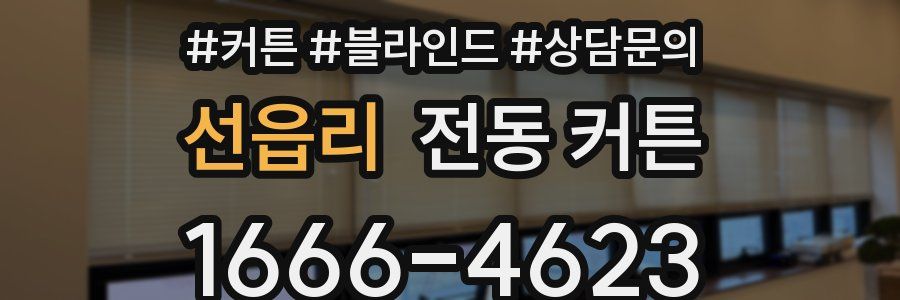 선읍리 전동 커튼
