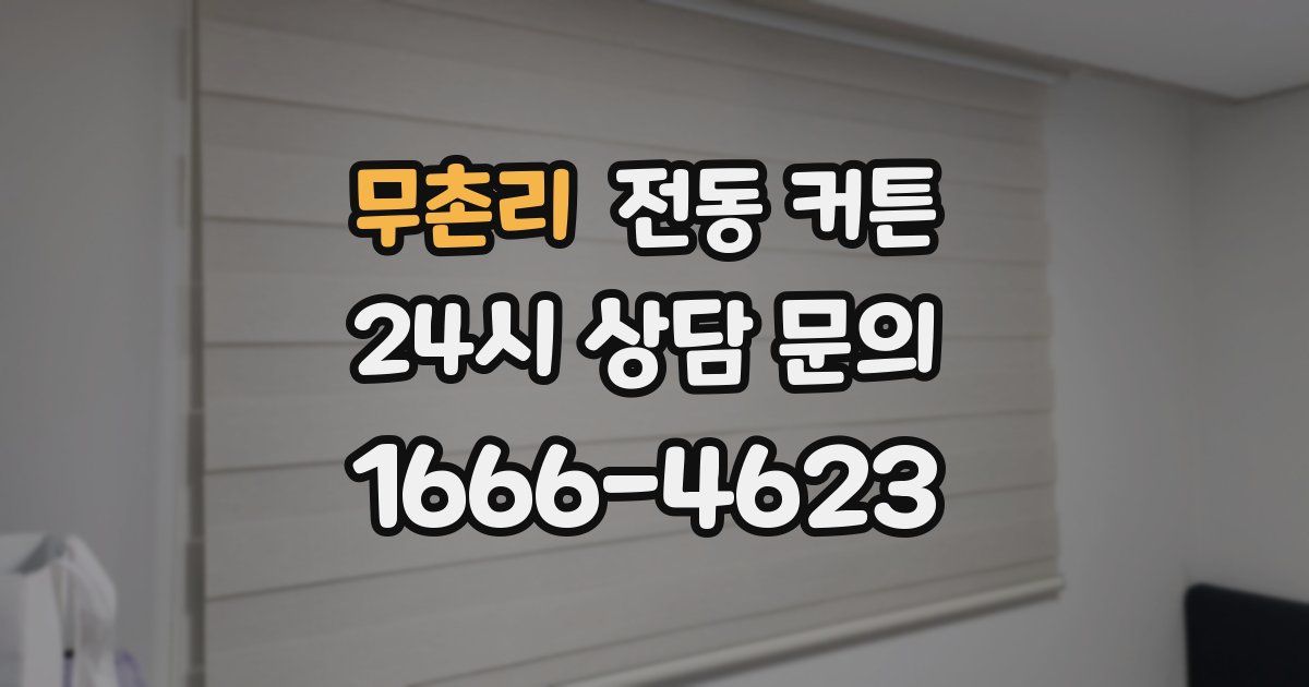 무촌리 전동 커튼