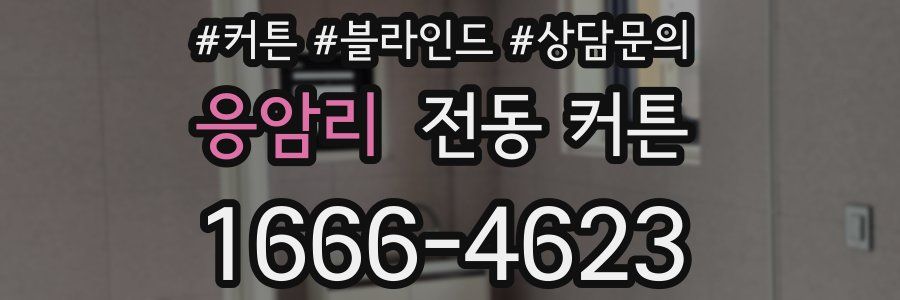 응암리 전동 커튼