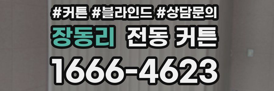 장동리 전동 커튼