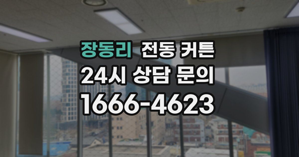 장동리 전동 커튼