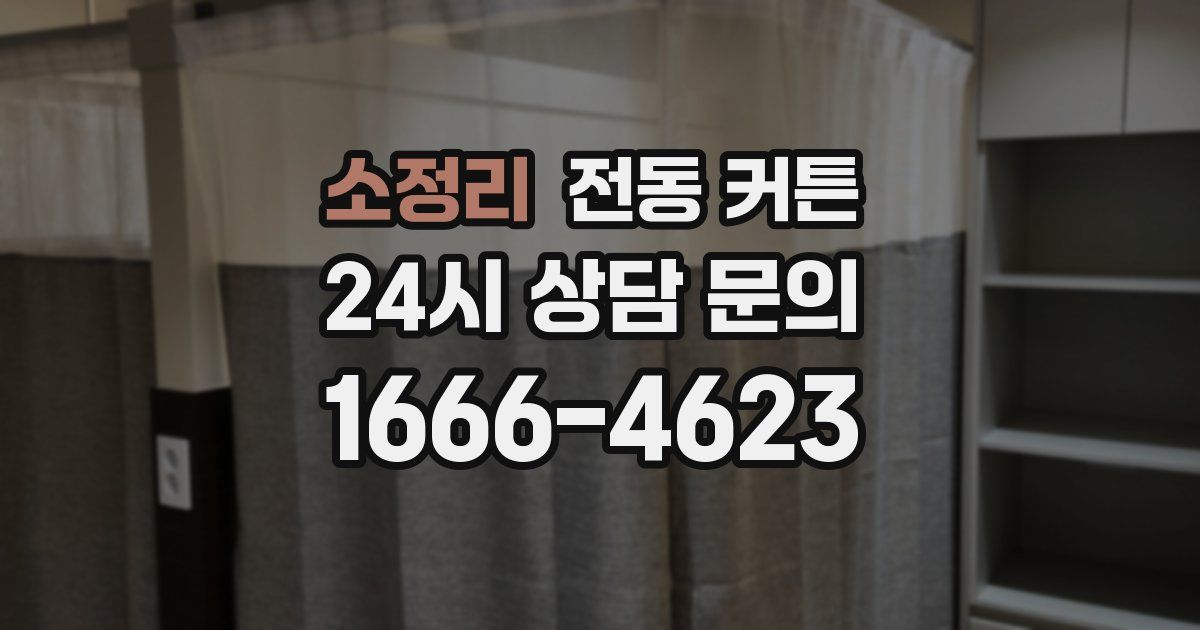 소정리 전동 커튼