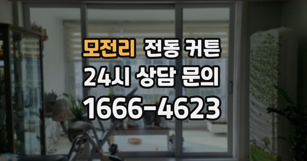 모전리 전동 커튼