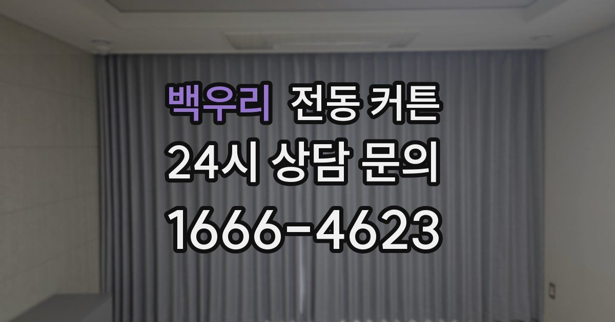 백우리 전동 커튼