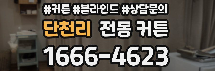 단천리 전동 커튼