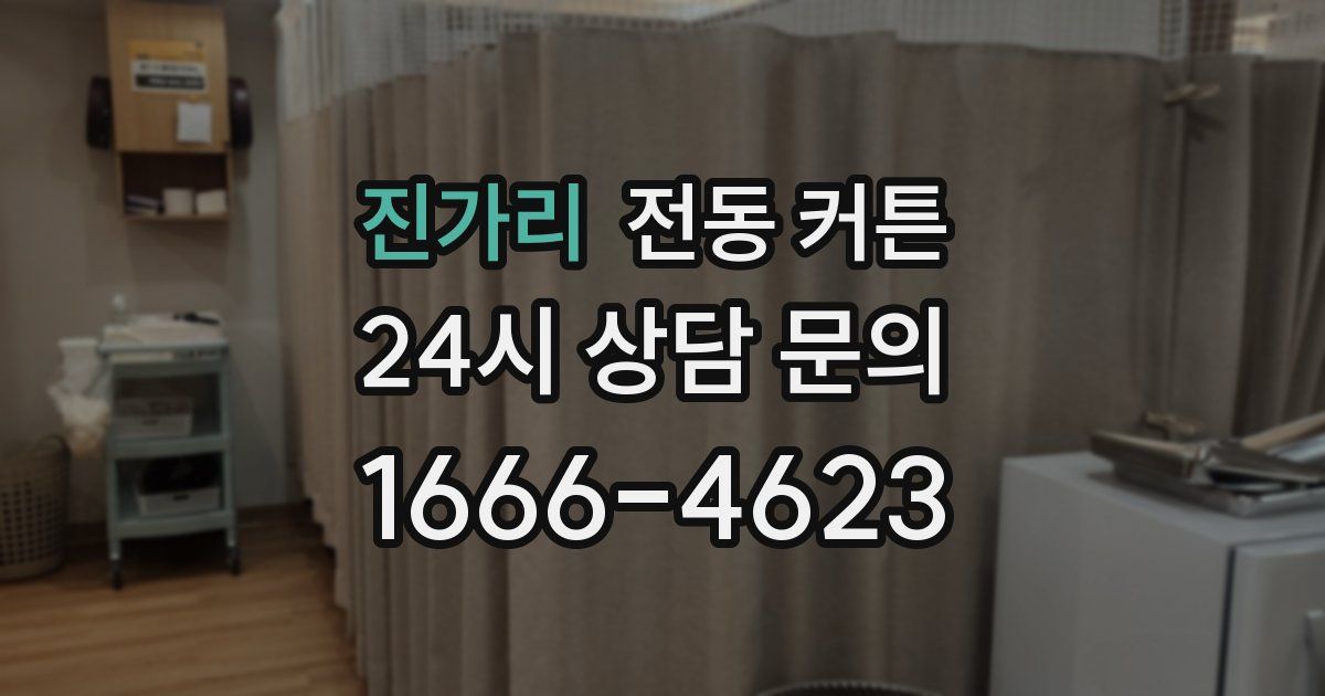 진가리 전동 커튼