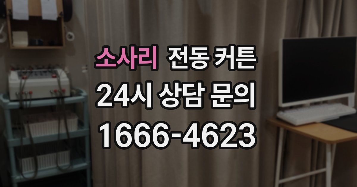 소사리 전동 커튼