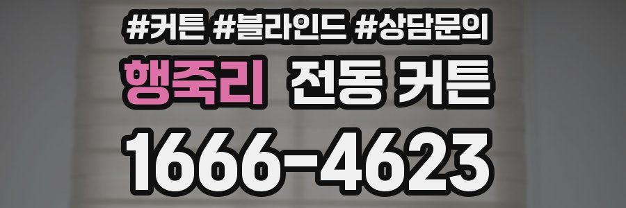 행죽리 전동 커튼