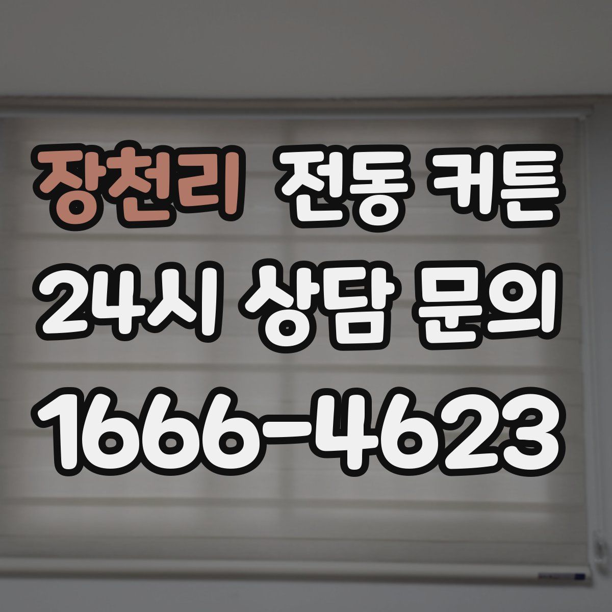 장천리 전동 커튼