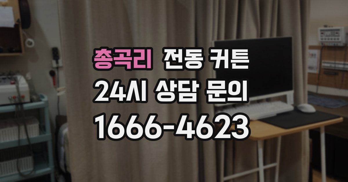 총곡리 전동 커튼