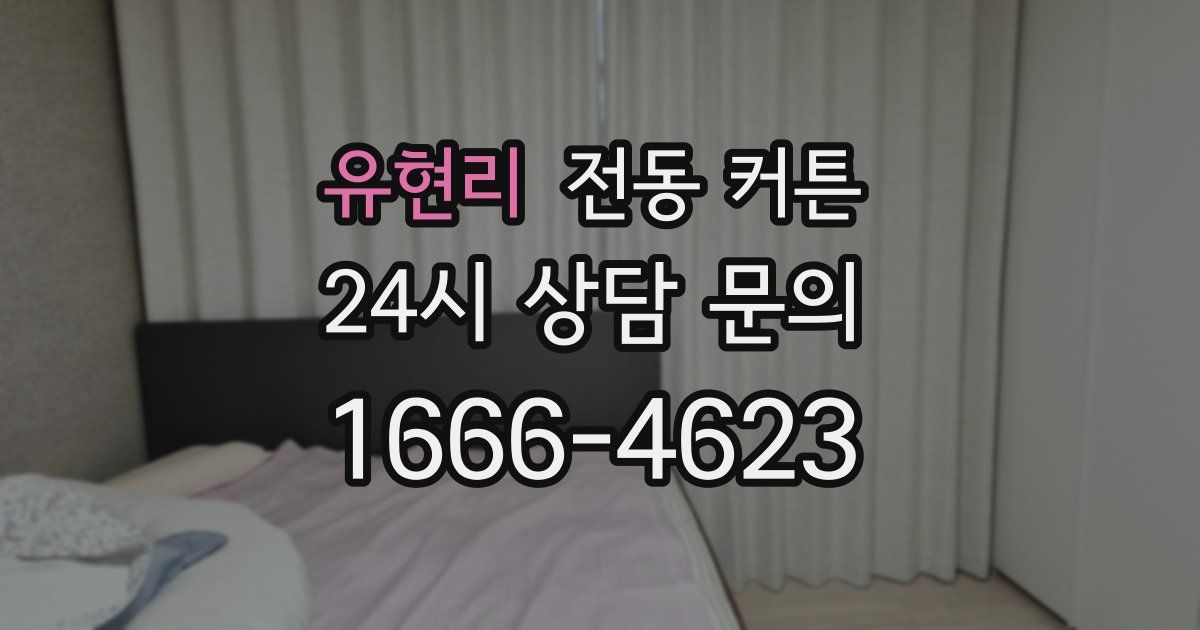 유현리 전동 커튼