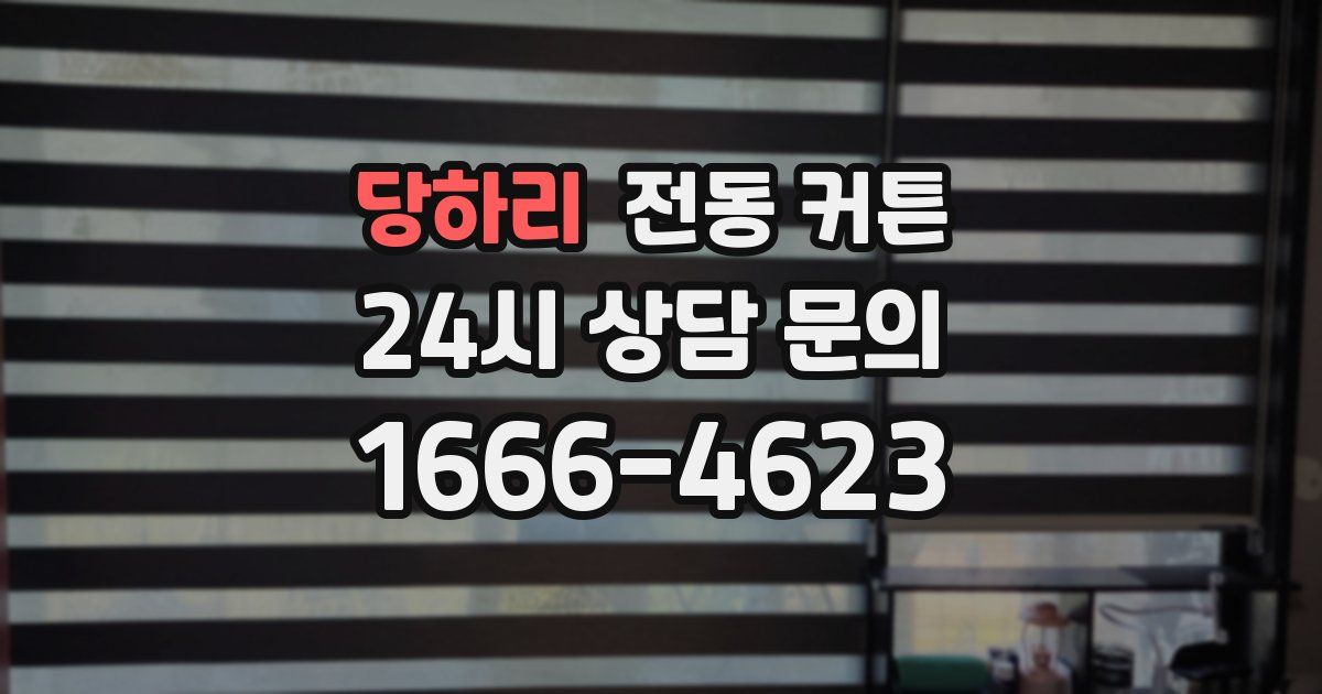 당하리 전동 커튼