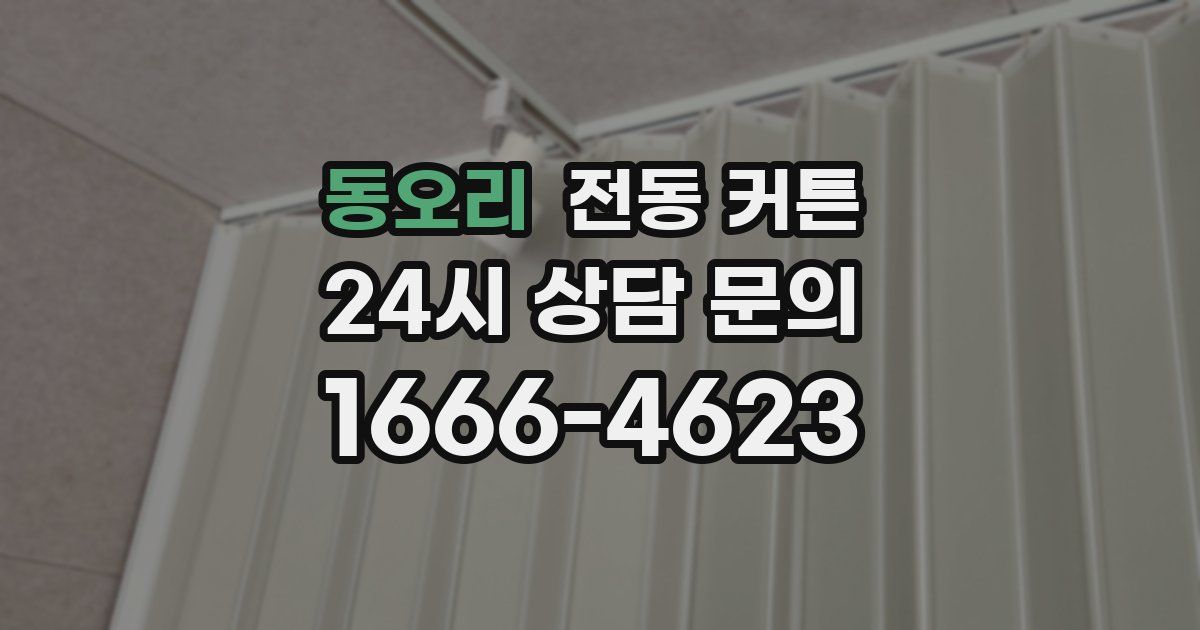 동오리 전동 커튼
