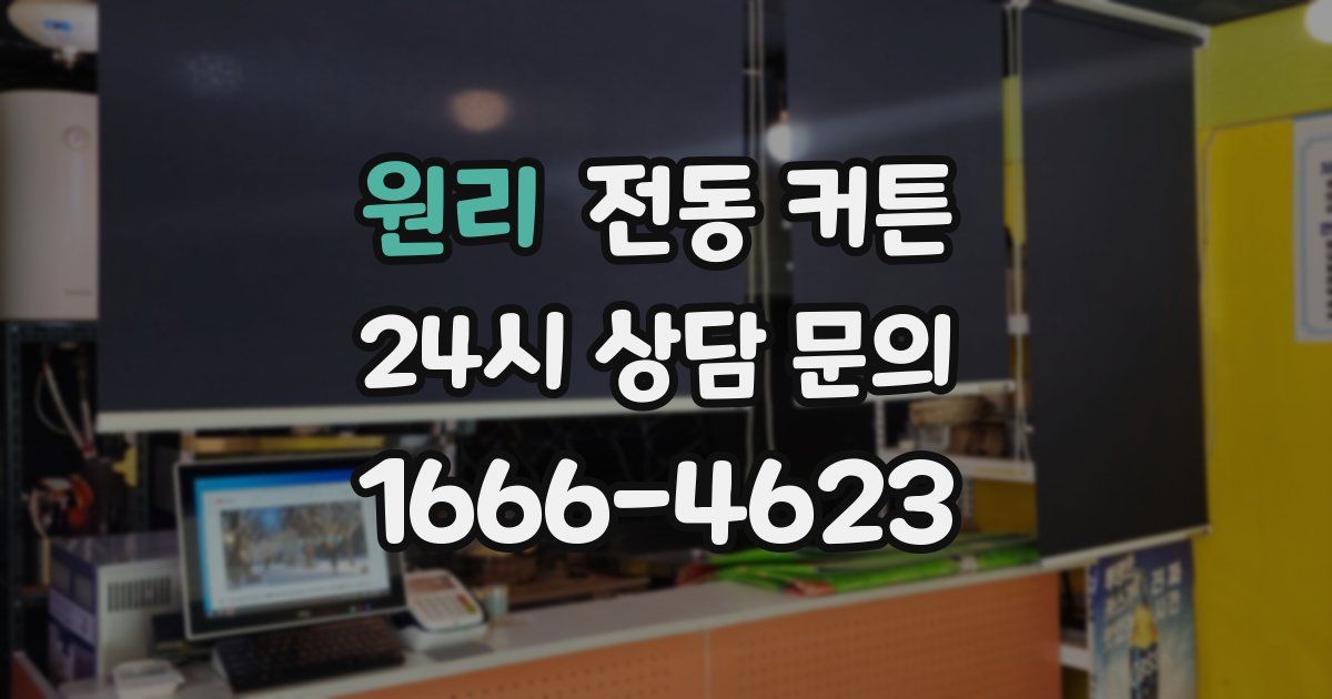 원리 전동 커튼