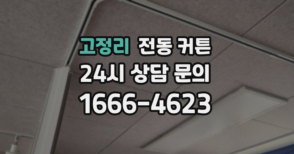 고정리 전동 커튼
