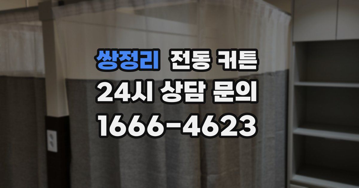 쌍정리 전동 커튼