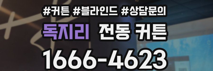 독지리 전동 커튼