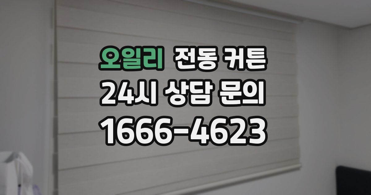 오일리 전동 커튼