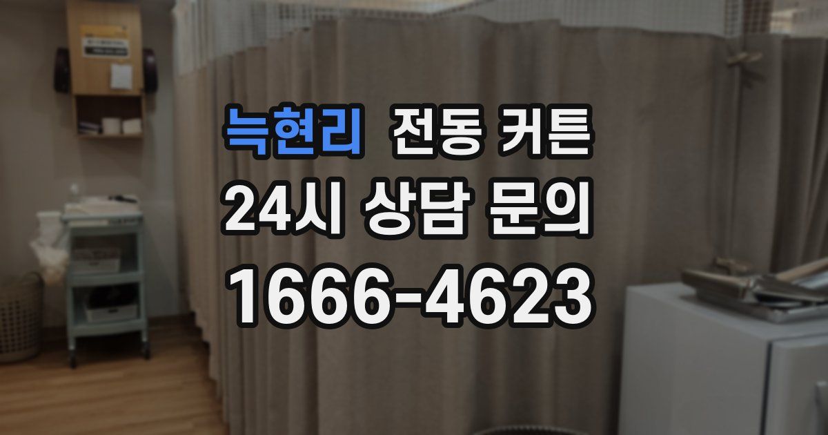 늑현리 전동 커튼