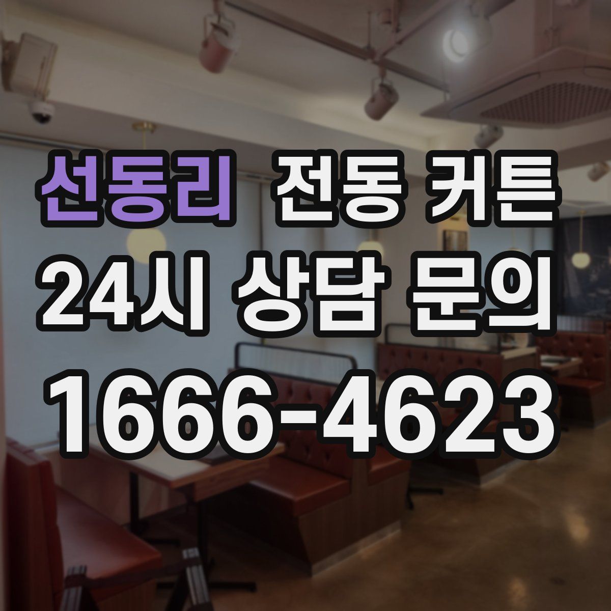 선동리 전동 커튼