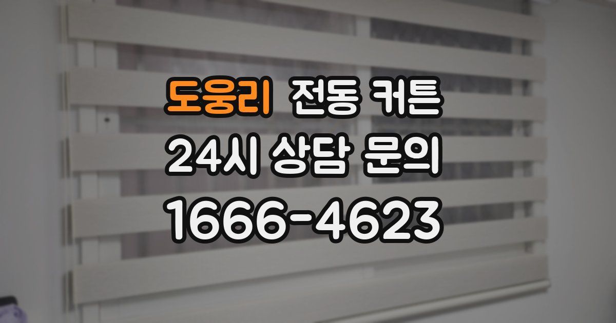 도웅리 전동 커튼
