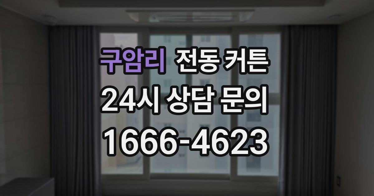 구암리 전동 커튼