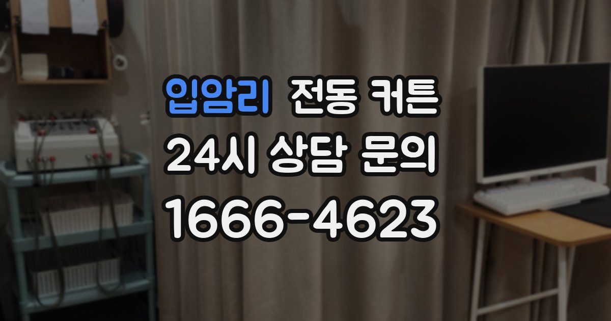 입암리 전동 커튼