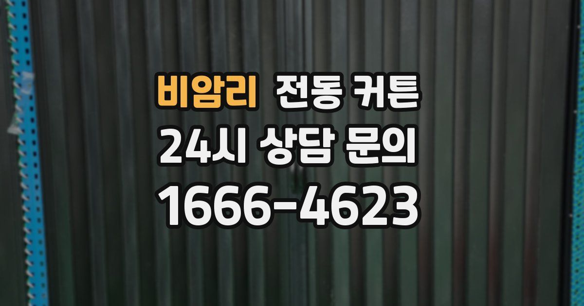 비암리 전동 커튼