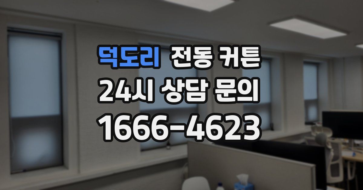 덕도리 전동 커튼