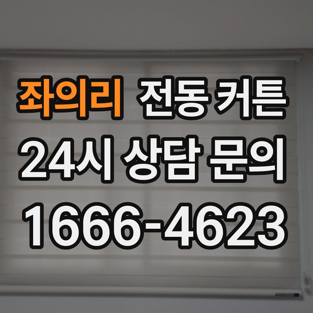 좌의리 전동 커튼
