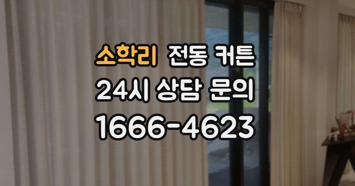 소학리 전동 커튼