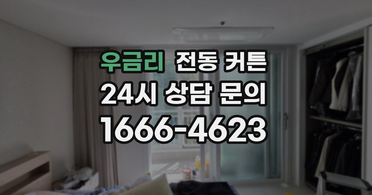 우금리 전동 커튼