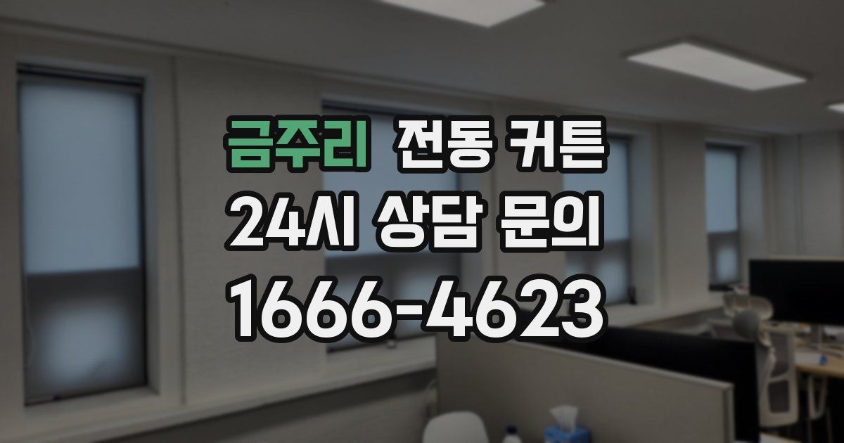 금주리 전동 커튼